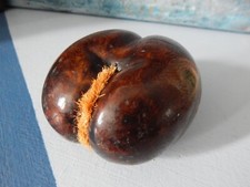 Coco fesse en bois pour