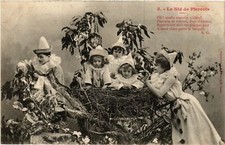 CPA 5. - Le Nid de Pierrots