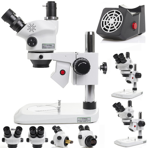 Microscope stéréo