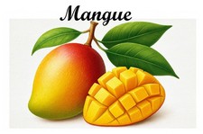 Mangue  12 Etiquettes vinyle