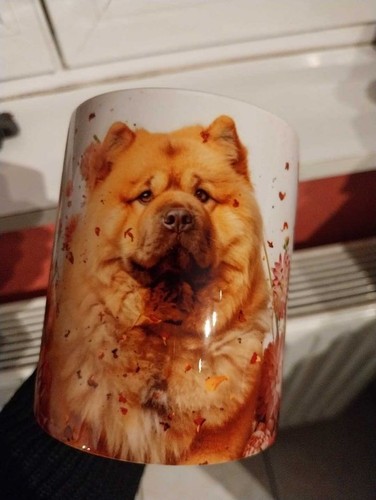 Mug chow - mug, chien