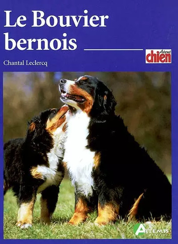 Bouvier bernois chantal - le,