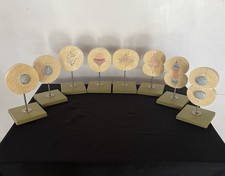SOMSO Models of Division of