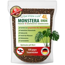 Monstera Terra 4L sans tourbe