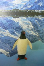 STARLUX /  CIRQUE OU ANIMAUX