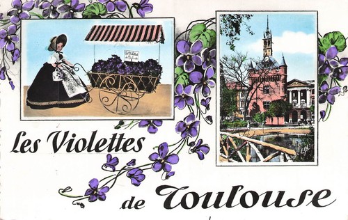 Toulouse violette très - la,