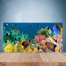 Crédence de cuisine en verre