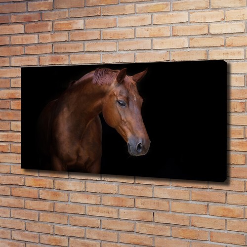 Tulup image sur toile - tulup,