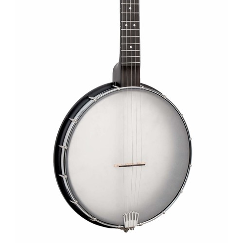 Gold tone 12a acoustic - ac-12a,
