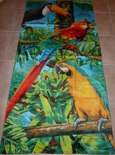 Drap plage oiseaux de - drap,