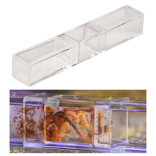 Piège vers pour aquarium - piège,