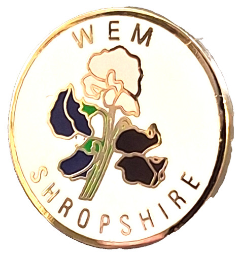 Badge petite épingle wem - badge,