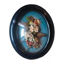 CADRE NAPOLÉON III VERRE BOMBÉ SCÈNE OISEAUX NATURALISÉS FLEURS ET RAISINS 