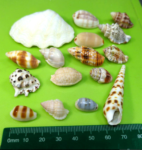 Rare assortiment - rare, de