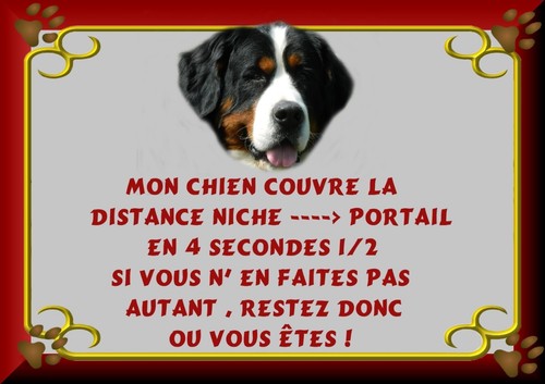 Plaque garde bouvier - garde,