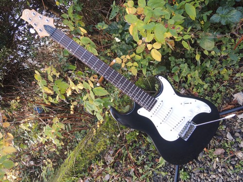 Guitare strato samick greg - guitare,