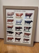 Cadre Vache Décoration