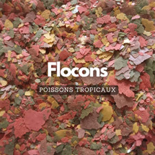 Flocons pour poissons tropicaux - alimentation