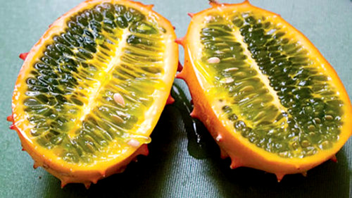 Graines kiwano cucumis - 8, kiwano(cucumis