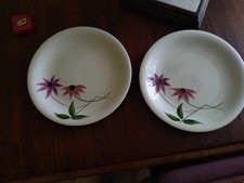 grande assiettes plats 28cm