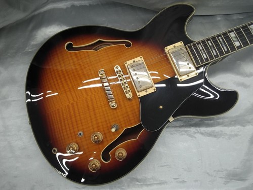 Ibanez electric guitar - electric,
