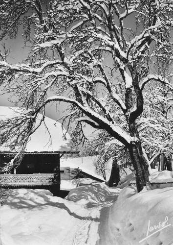 Morzine chalet savoyard - 74,