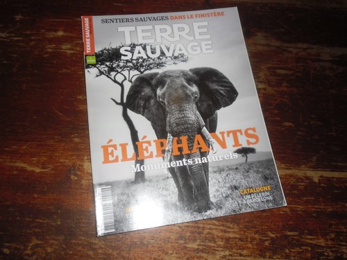 Voir ancien magazine - magazine, n°