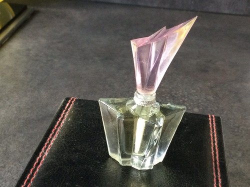 Miniature angel pivoine - miniature,