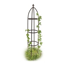 Arceau Arche rosiers pergola