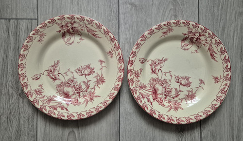 Assiettes plates porcelaine - 2,