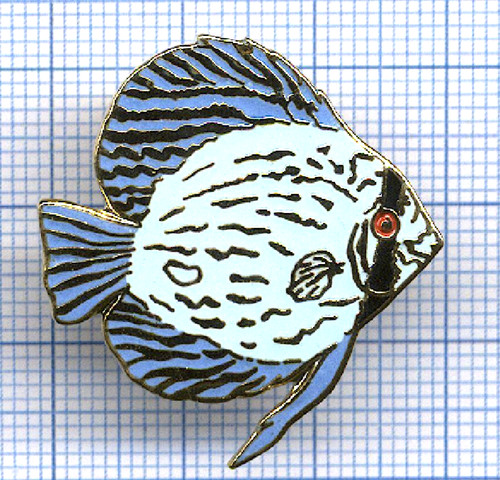 Pins tablo poisson exotique - poisson,