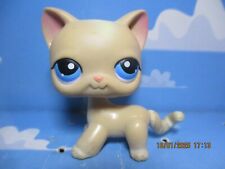 PETSHOP CHAT EUROPEEN N°228 / AVEC AIMANT ROSE