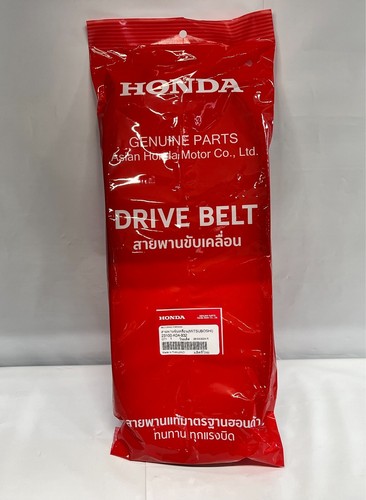 Forza 300 final - drive, ceinture