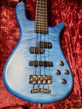 Warwick Teambuilt WGPS /