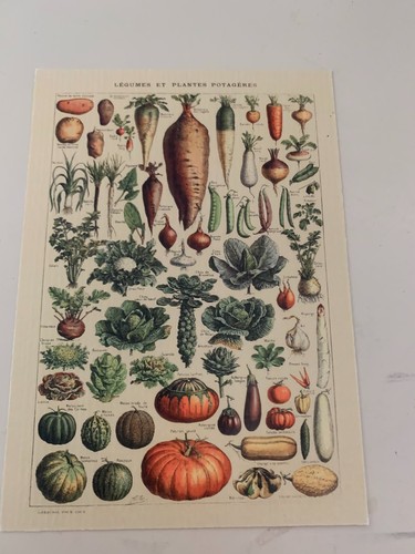 Carte postale 15x10 style - carte,