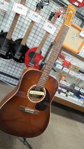Art lutherie cedar electric - cedar,