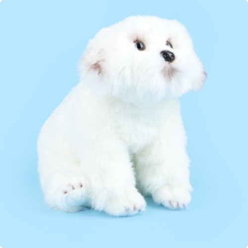 Peluche bichon maltais - peluche,