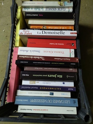Lot livres romans - 20, michel