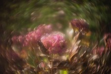 Objectif vintage Petzval 50mm