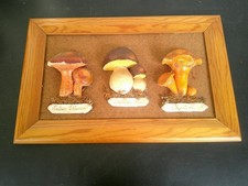 TABLEAU DE 3 CHAMPIGNONS EN PATE A SEL ENCADREMENT BOIS