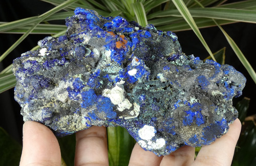 Azurite malachite - azurite, &