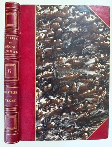 Georges cuvier le regne - cuvier,