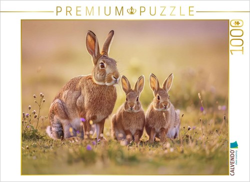 Calvendo puzzle soft colors - calvendo,