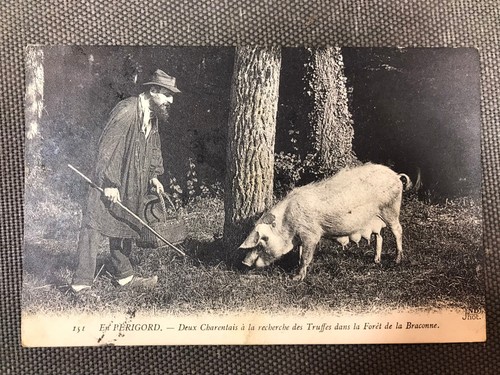 Carte postale ancienne - , cpa