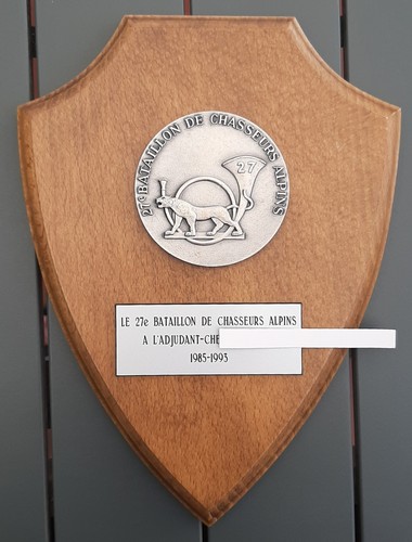 Bca chasseurs alpins - bca,