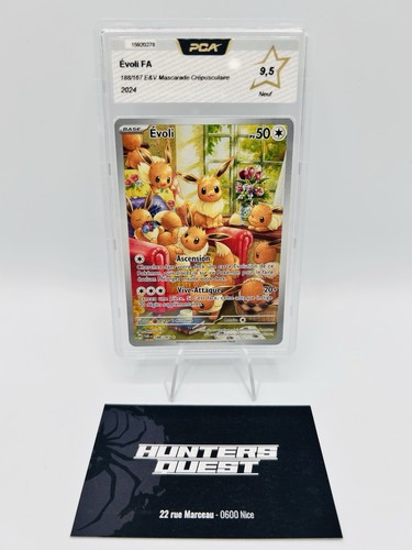 Pca carte pokemon evoli - pca,