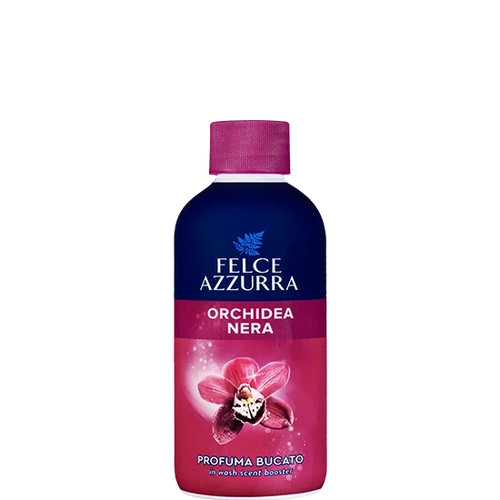 Felce azzurra orchidea nera - orchidea,