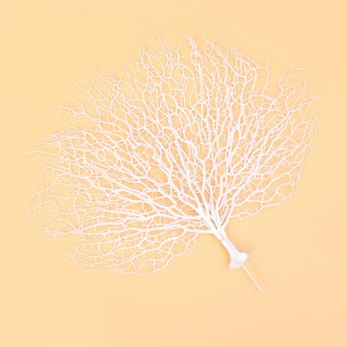 Coraux décoratifs branche - coraux,