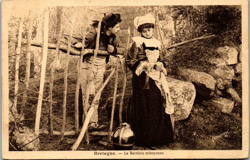 Types bretagne carte - 29,