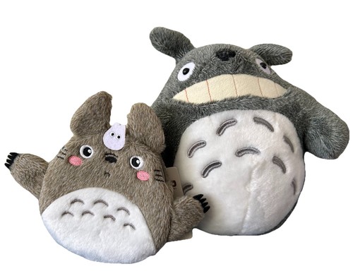 Neighbor totoro - my,